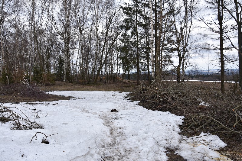 1. Subregionál 2019