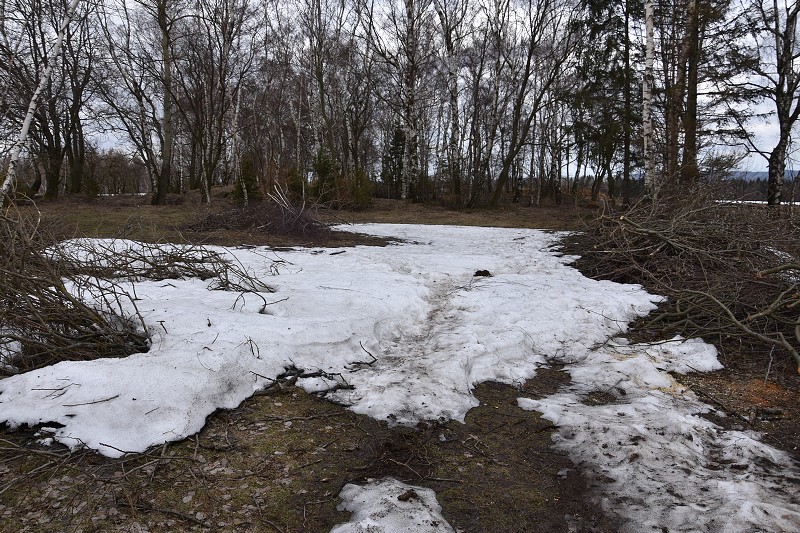 1. Subregionál 2019