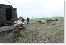 Krtci byli během zimních měsíců aktivní...