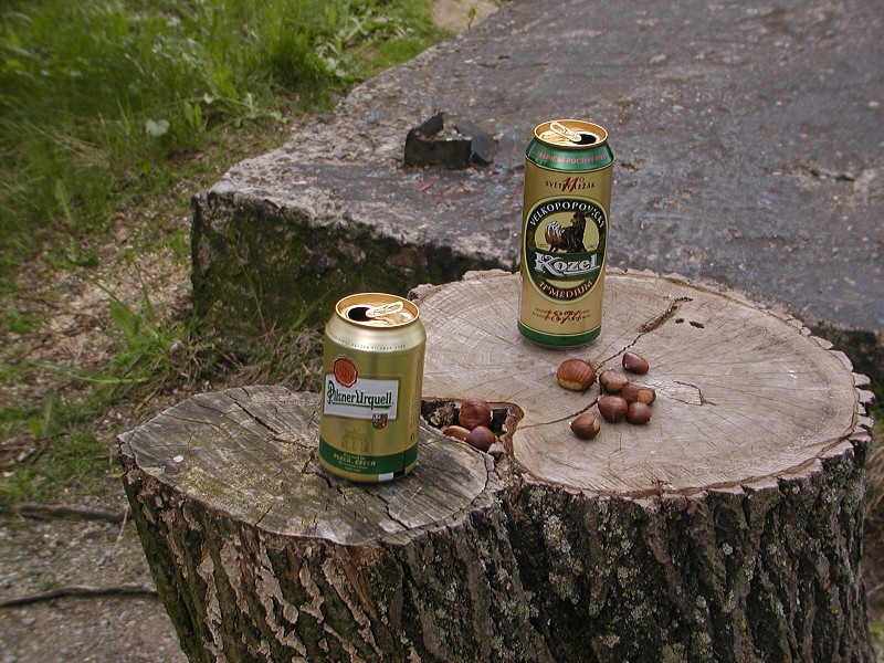 2.subregionál Vestec 2008