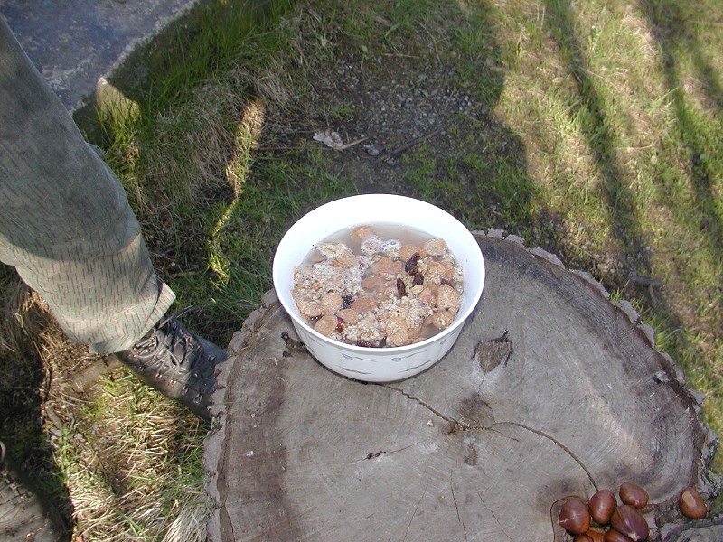 2.subregionál Vestec 2008