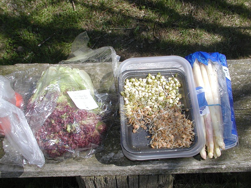 2.subregionál Vestec 2008