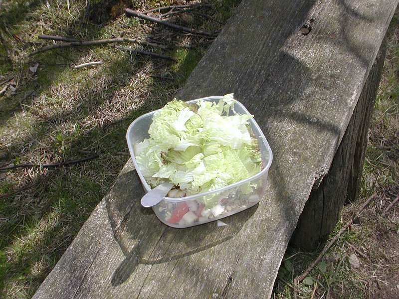 2.subregionál Vestec 2008