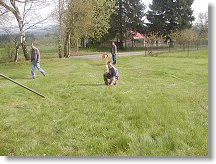 Ani kotvami Lukáš nikterak nešetřil