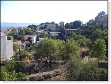 Windomka ze střechy domku na strom