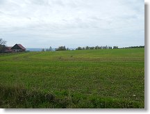Vestecké pole se ještě zelená