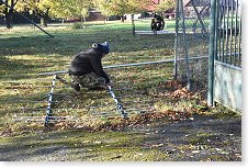 Honza připravuje LFA antény