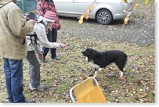 Romana a místní hafan