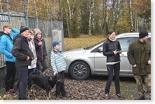 Příchozí turisté