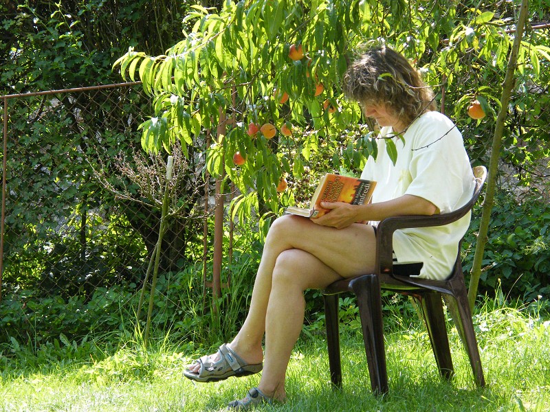 Stavba ECO DHF6 2009