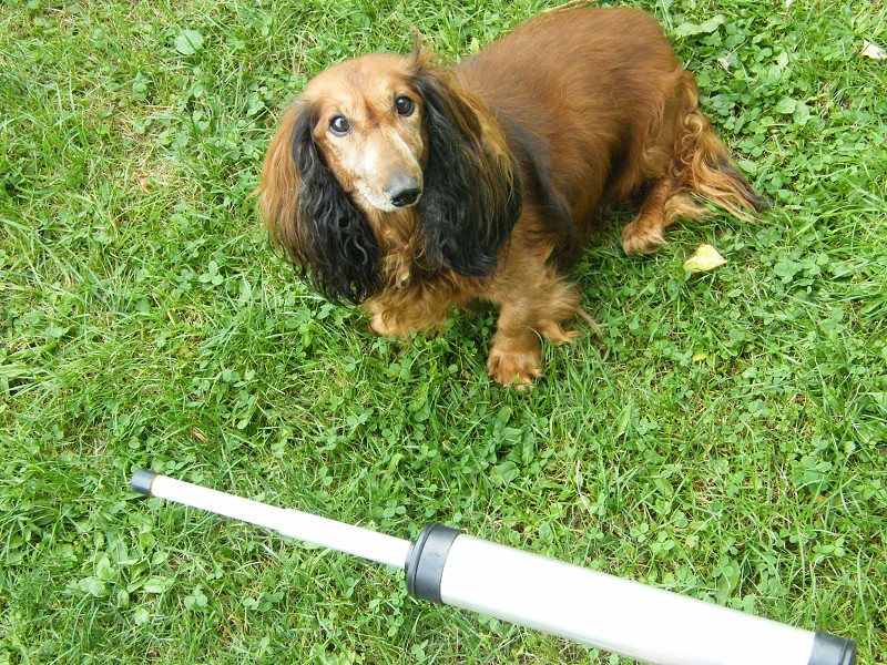 Stavba ECO DHF6 2009