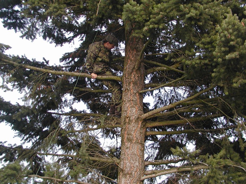 Windom RK listopad 2006