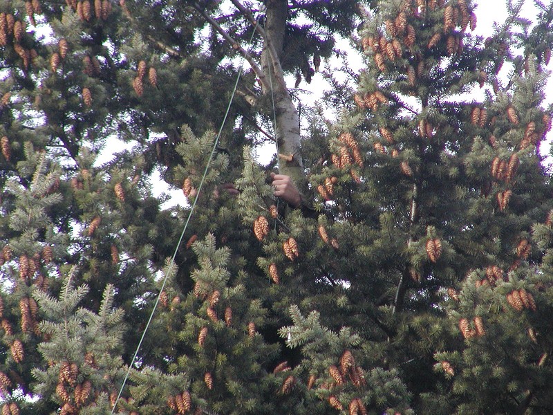 Windom RK listopad 2006