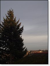 Po letech provizorií jsem se konečně rozhodl umístit windomku do rozumné výšky. No vlastně jsem 30 roků čekal, až sousedova jedle pořádně vyroste, HI.