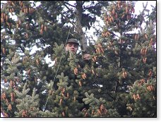 Sláva vrchol jedle je pokořen!!!