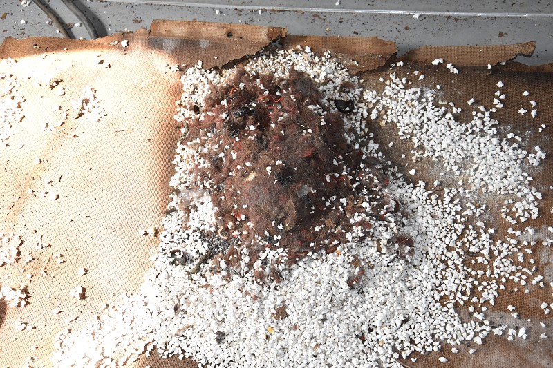 Vestec brigáda 27.5.2023