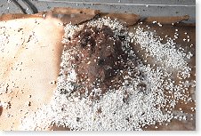 Myší apartmán první kategorie