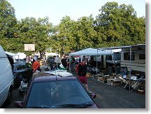 Ještě jednou blešák