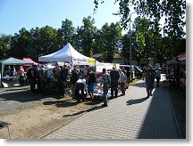 Jeden z blešáků v pátek po ránu