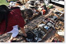 Někdy něco zaujme i moji XYL Ivu