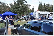 Na louce za hudebkou