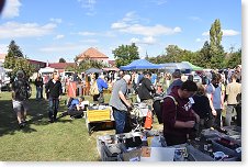 Blešák za hudebkou