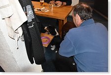 Ivan OK1PI uklidňuje psíka u sousedního stolu