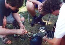 Bagrovani mabacu (35kB)