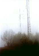 Déelka v psím počasí... (20kB)