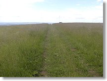 Celkový pohled na kontestovou louku