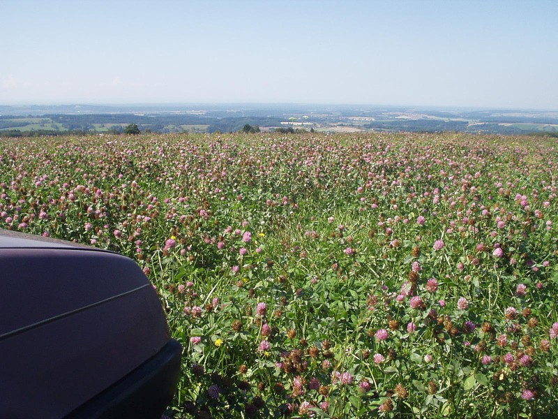 Provozní aktiv srpen 2007