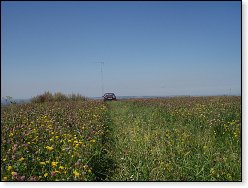 Jetel, jetel a zase jetel.....