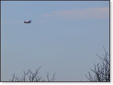 Nás zase celé dopoledne rušily hlasité přelety éra, které zřejmě něco sypalo do lesů Orlických hor