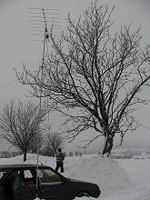 Anténa byla poměrně blízko stromu                                                                                                                     