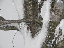 Detail třetí kotvy                                                                                                                   