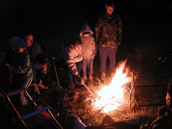 OLYMPUS DIGITAL CAMERA         