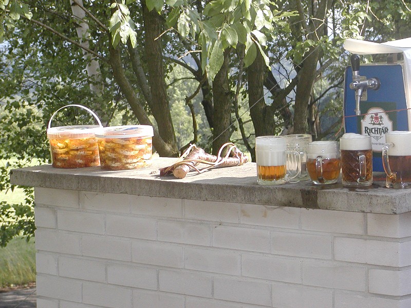 Polní  den Vestec 2008