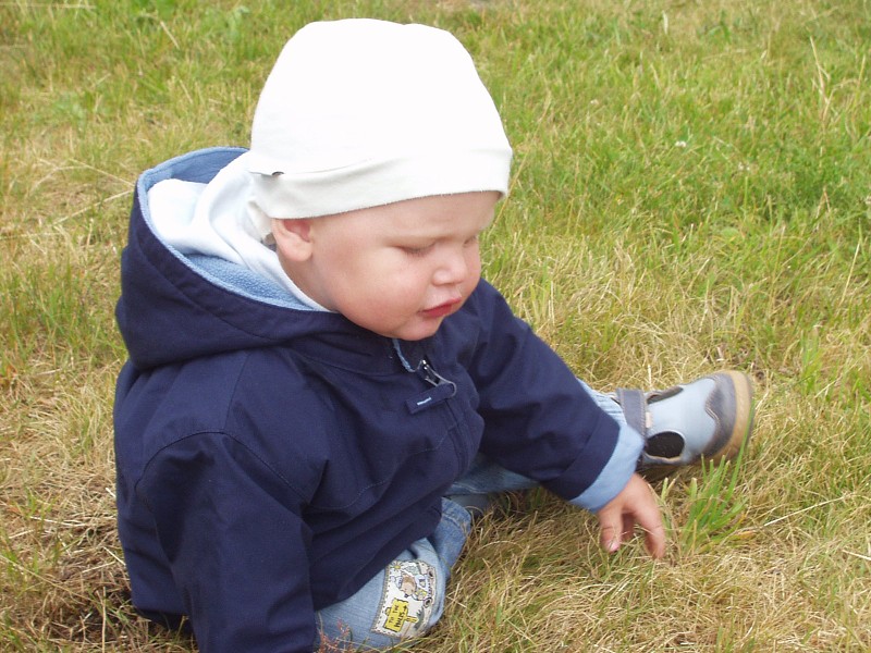 Polní  den Vestec 2008