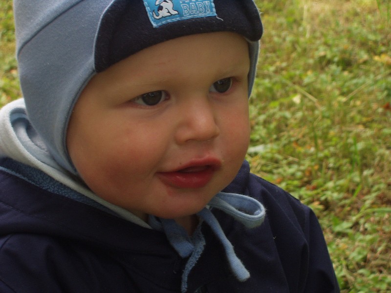 Polní  den Vestec 2008