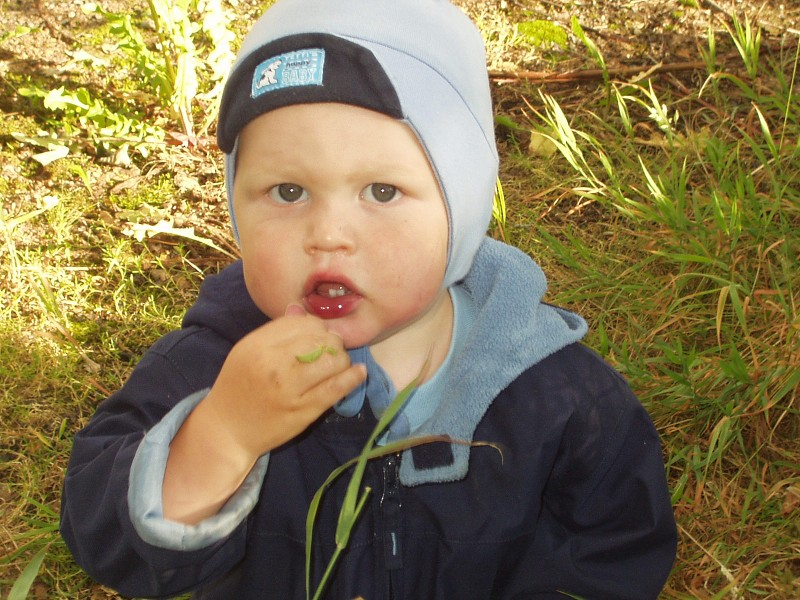 Polní  den Vestec 2008