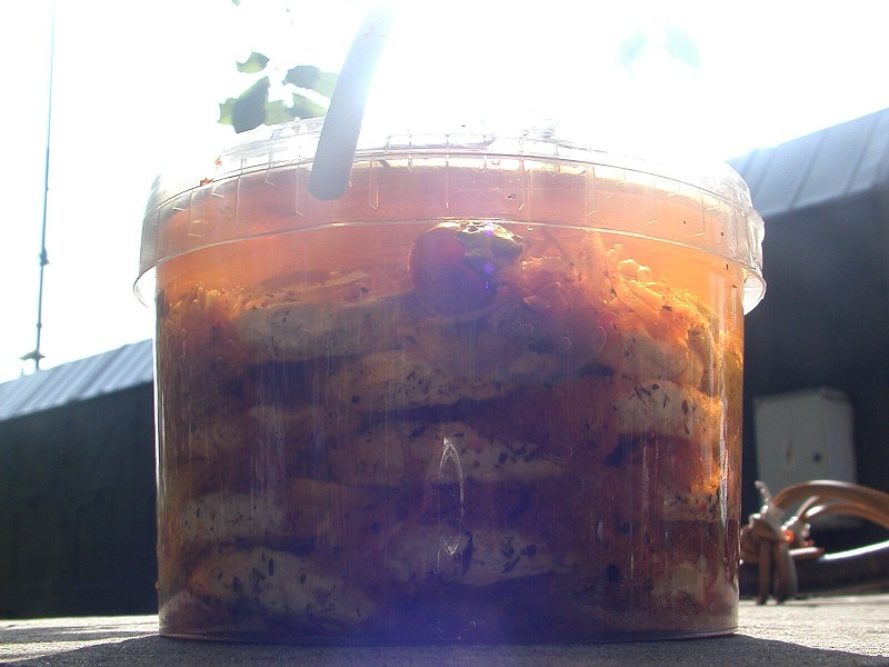 Polní  den Vestec 2008