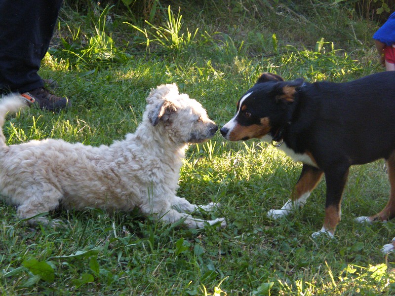 Polní den OK1KCR 2010