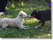 Seznámení s domorodcem