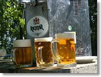 Zlatavý mok, aneb sluneční paprsky čarují