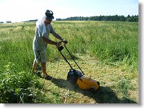 Lány našim zemědělcům letos kosí námezdní arabové