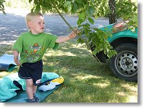 Šup s broukem na strom