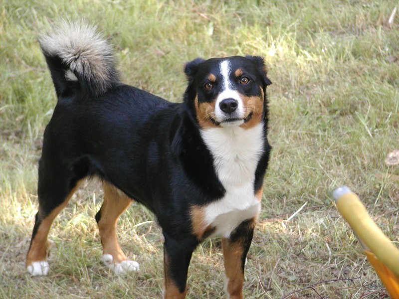 Polní_den_OK1KCR_2011