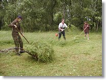 Sklizeň zelené hmoty vrcholí