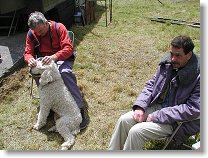 OK1SVB, Aránek. OK1AWG