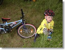 Borůvky jsou ten správný ionťák